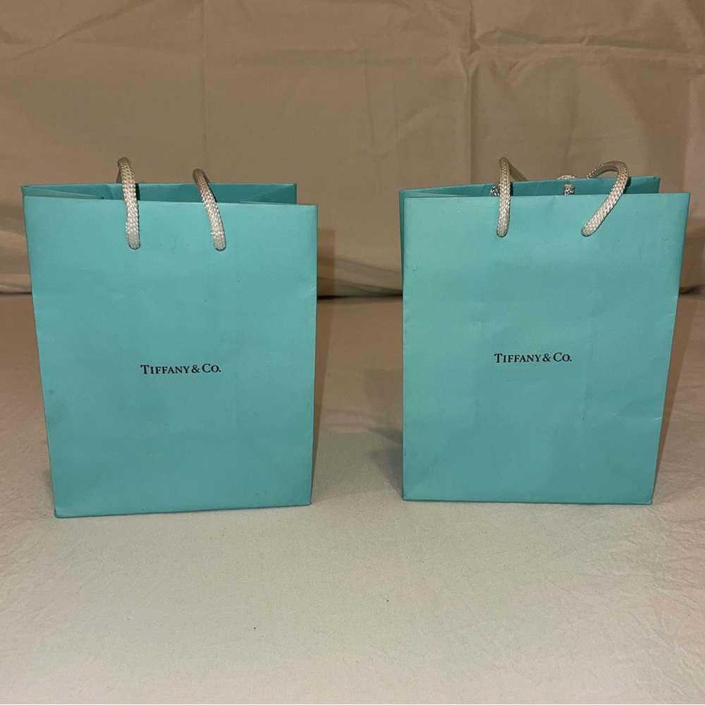 Tiffany & Co. shopping bags-2